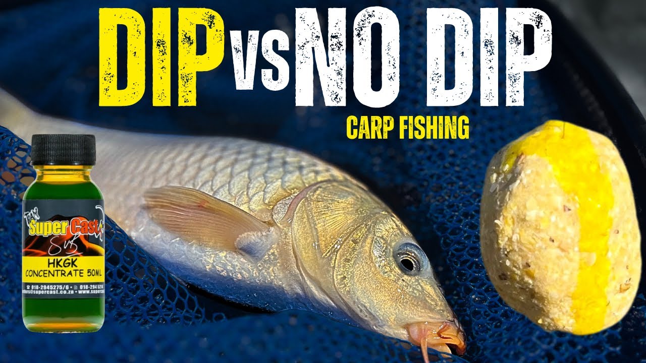 DIP vs NO DIP - CARP fishing CHALLENGE 