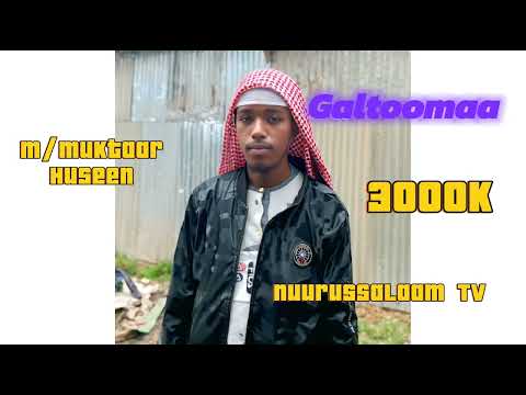 Galatoomaa Hawaasa Koo Qaaliif Gaarii