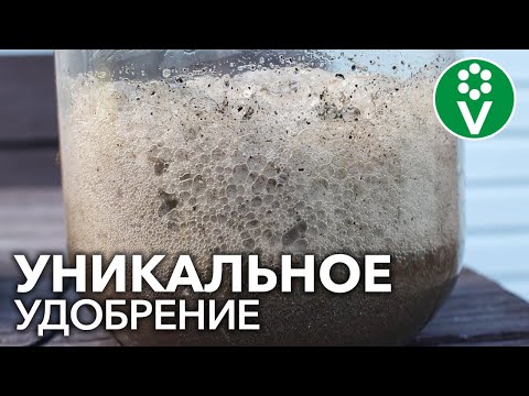 ЛУЧШЕ ЭТОГО УДОБРЕНИЯ