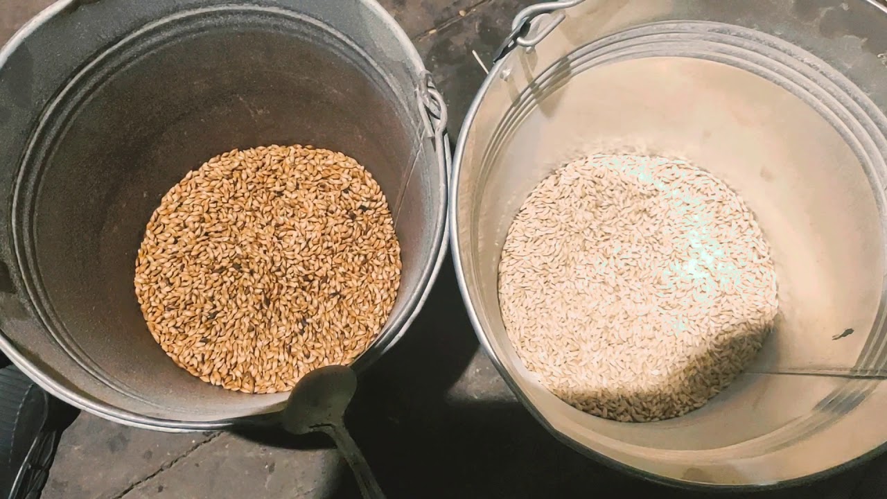 Как избавиться от поноса у поросят. Секретный способ "как не убирать ...