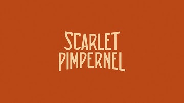 SCARLET PIMPERNEL - March of the Trolls (OFFICIAL)