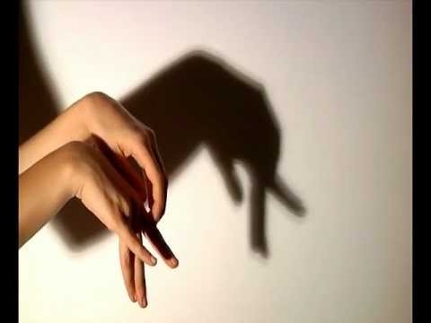 Chinese Shadows - Elephant