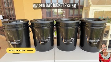 Setting Up The Vivosun DWC Hydroponic Bucket System