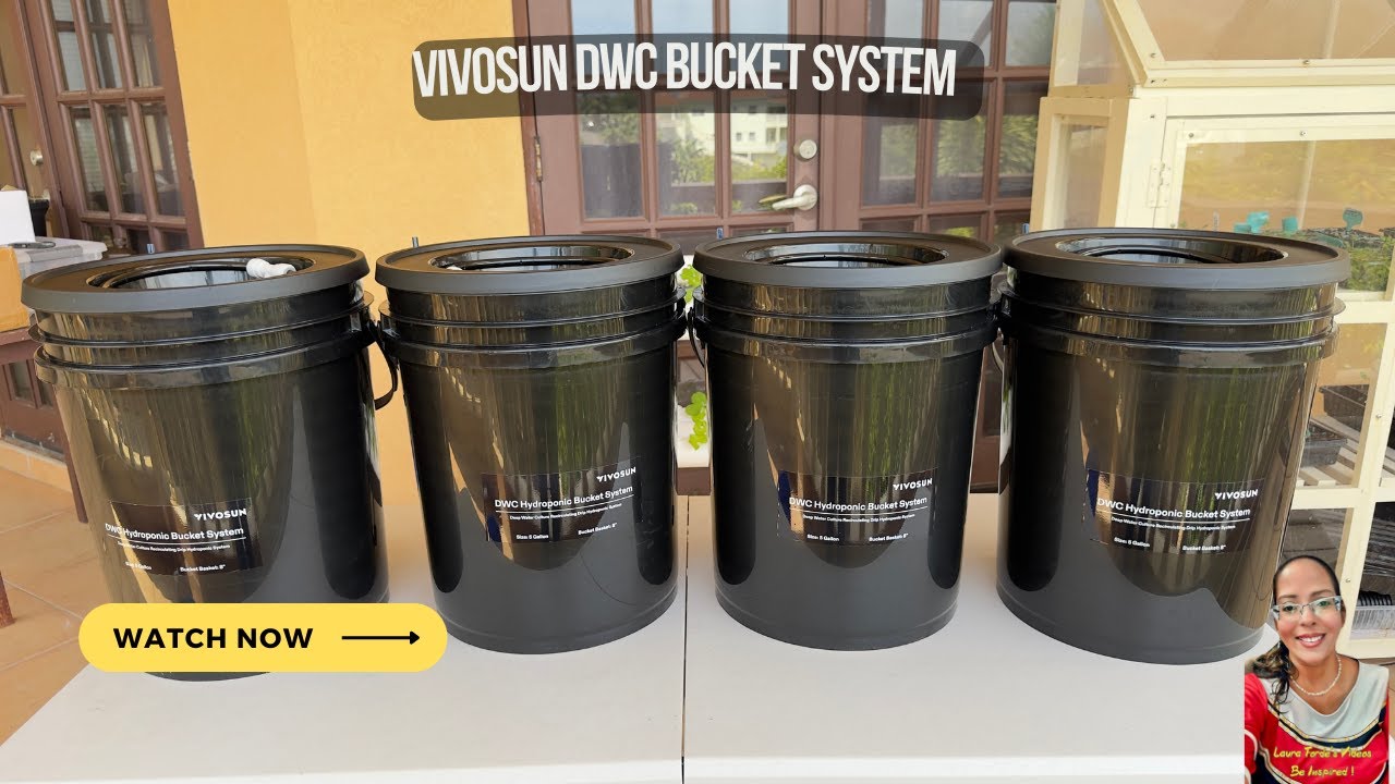Setting Up The Vivosun DWC Hydroponic Bucket System