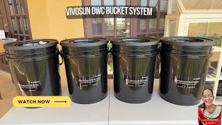 Setting Up The Vivosun DWC Hydroponic Bucket System