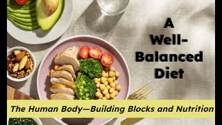 CKLA Grade 2 Domain 10 Lesson 8 A Well-Balanced Diet Profile