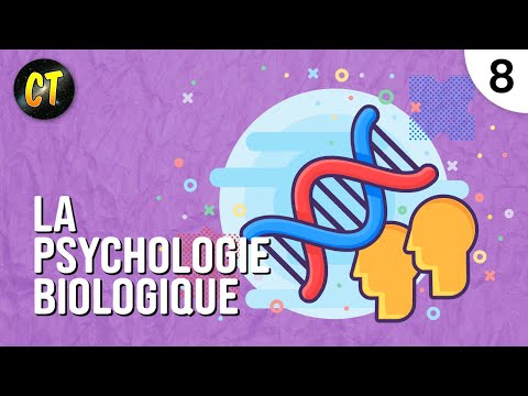 Vidéo: Qui a fondé la perspective biopsychologique ?