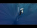 Inside the Squale Master Titanium Collection | WATCHH