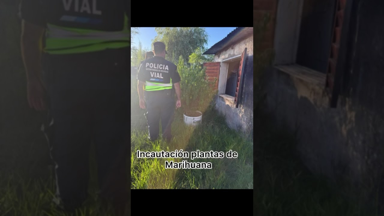 🚨 Allanamientos en Pehuajó