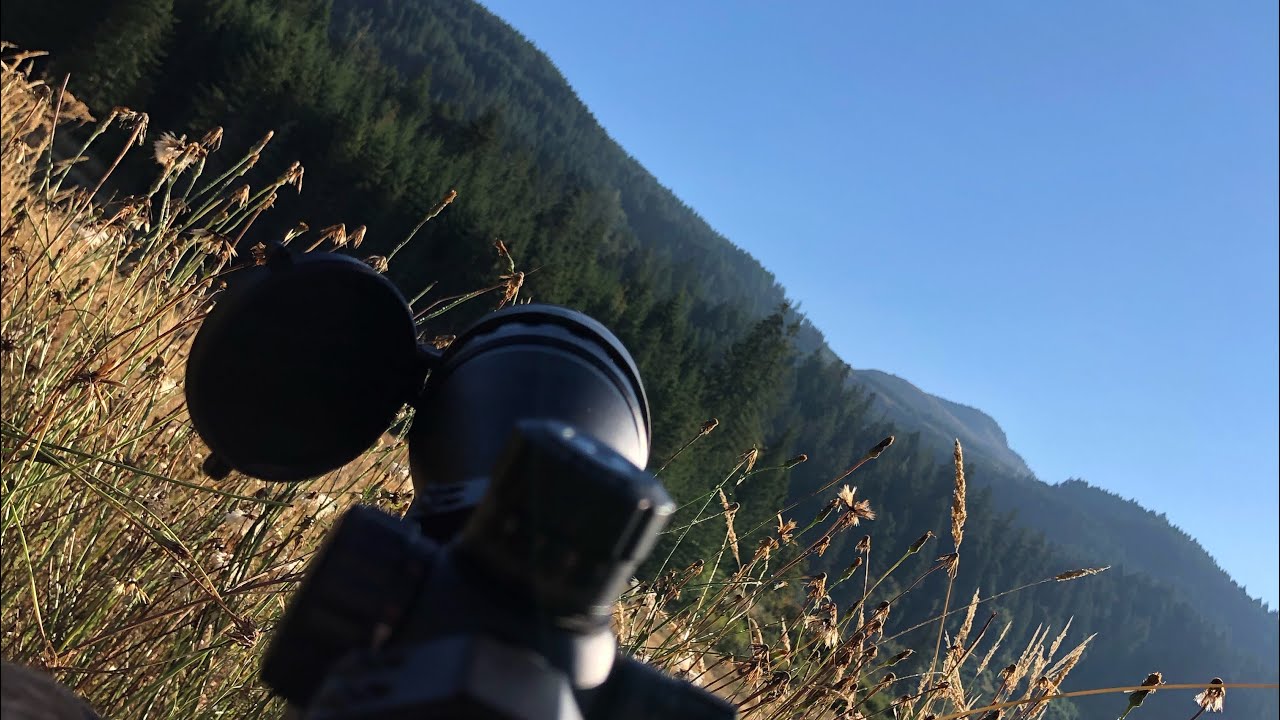 TC Compass 6.5 Creedmoor hunting rifle review