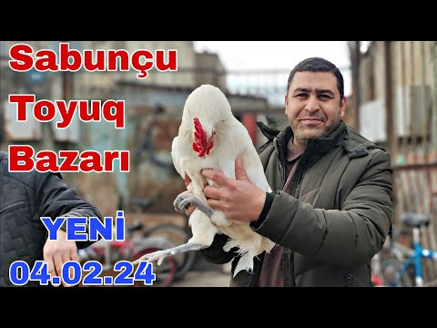 Sabunçu  4 fevral 2024 Toyuq Bazarı 7 Fevral Saso Cüce satışı  0557905410, 0706039757,0557848534