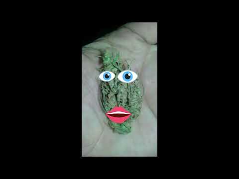 thumbnail img1x1