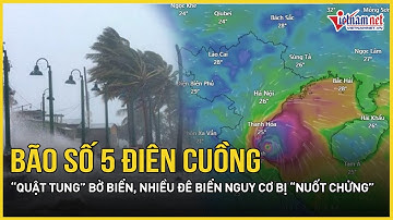 Cảnh báo nóng: Bão số 5 điên cuồng “quật tung” bờ biển, hàng loạt đê biển nguy cơ bị “nuốt chửng”
