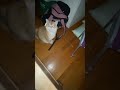 Silly cat 🐱🐈 2