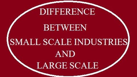 Difference between Small scale industry and Large Scale industry