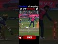 Best wicket out of IPL🔥#ytshorts #ms #cricket #viratkohli #cricketfacts
