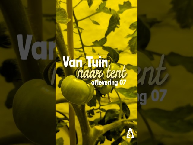 Watch Stadstuinieren - Indoor kweken met BIOCANNA - Van Tuin naar Tent - Aflevering 07 #urbanfarmers on YouTube.