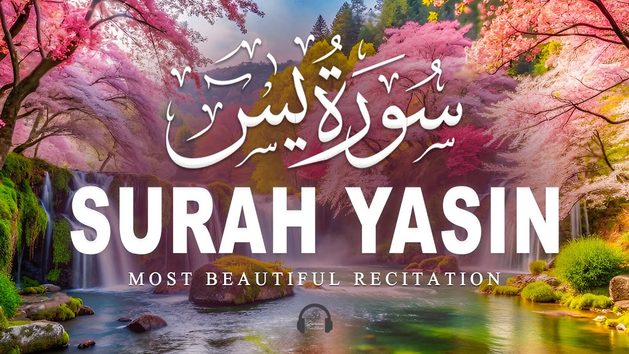 Surah Yaseen سورة يس | Soothing & Beautiful Recitation for Inner Peace by Alaa Aqel Quran for Sleep