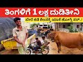 ಡಿಗ್ರಿ ಹುಡುಗನ ಸೂಪರ್ ಟೆಕ್ನಿಕ್ ನೋಡಿ | Dairy Farming in Karnataka farmer success story dairy #kannada