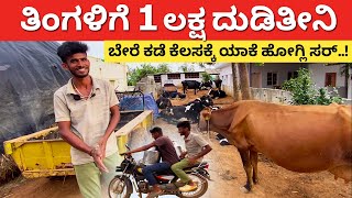 ಡಿಗ್ರಿ ಹುಡುಗನ ಸೂಪರ್ ಟೆಕ್ನಿಕ್ ನೋಡಿ | Dairy Farming in Karnataka farmer success story dairy #kannada