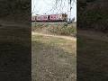 UP-31773 Ranaghat to Lalgola Local train #easternrailways #youtubeshorts #indianrailways #train