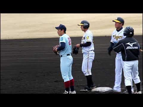2019.3.7 阪神タイガース 植田海選手 【左右両打席でヒット】