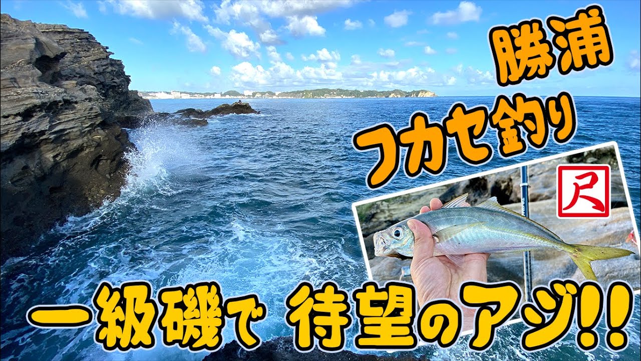 待望の尺アジ！ 勝浦の一級磯でフカセ釣り。