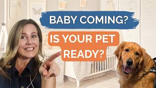 How to Prepare Your Dog or Cat for a New Baby | Vet Advice