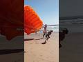 When 9 Years Old Boy Made The Dress By Parachute