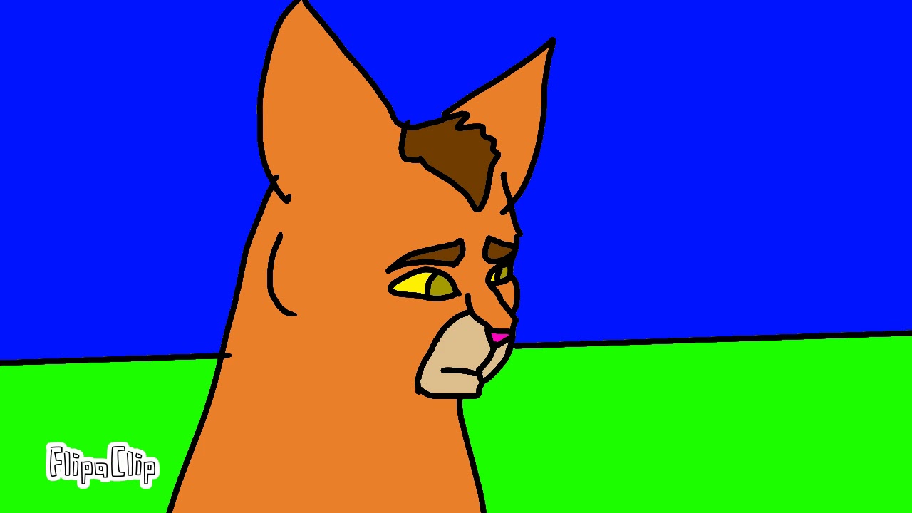 Wars Cats 