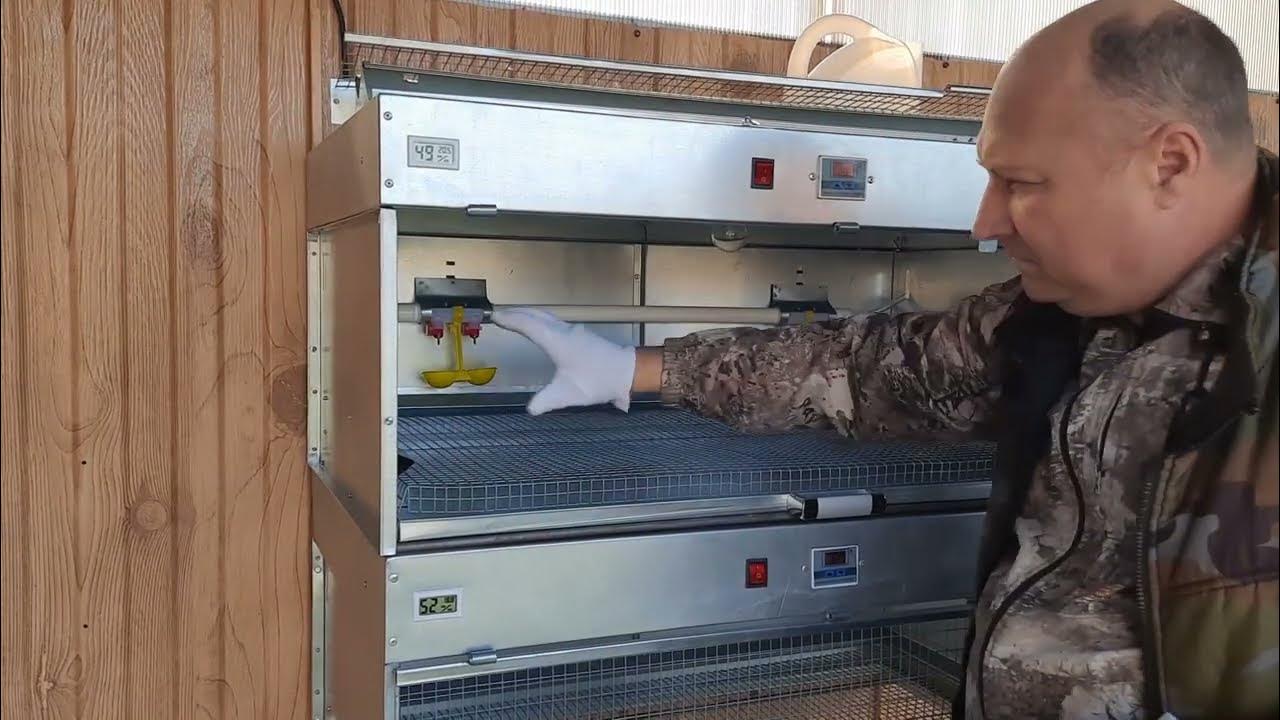 Обзор брудера для цыплят от Кубанской перепёлки - YouTube