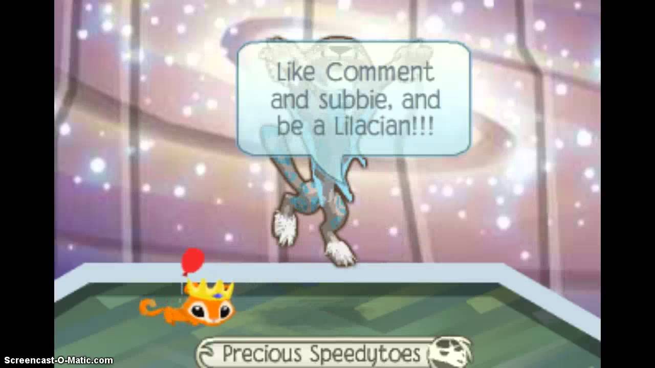 Animal Jam Intro!!! YouTube