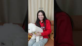 Can I Pat This Dog?