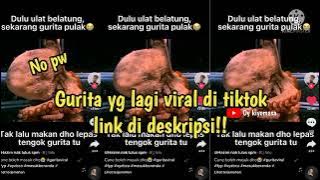 Gurita yg lagi viral di tiktok link di deskripsi no pw#viral#guritayglagiviral#gurita