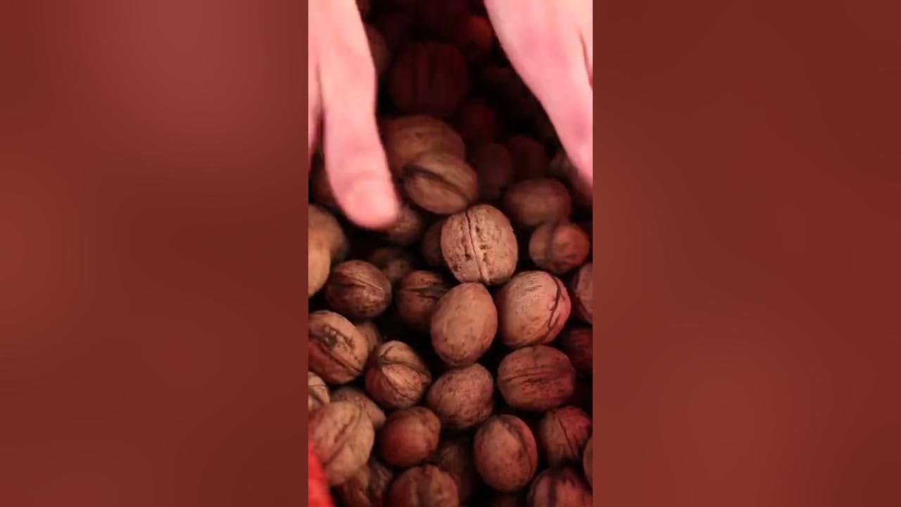 Настоящая турецкая пахлава! - YouTube