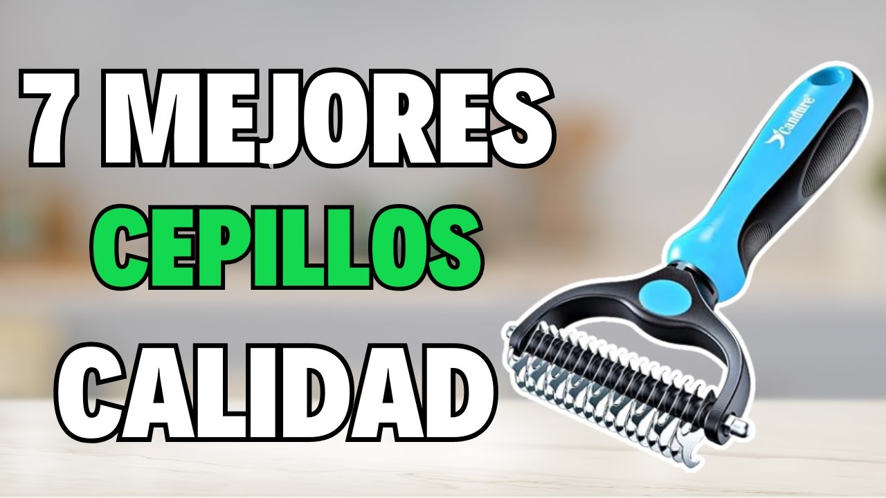 👉 Los 7 MEJORES CEPILLOS PARA PERROS de 2026 [Calidad/Precio] 💥