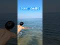 クラゲで水切りしてみたら想像以上だったw #shots #水切り #クラゲ