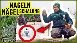 Richtig Nageln - Nägel Verzinkt Oder Blank Hämmern? Tipps Für Schalung Home Build Solution