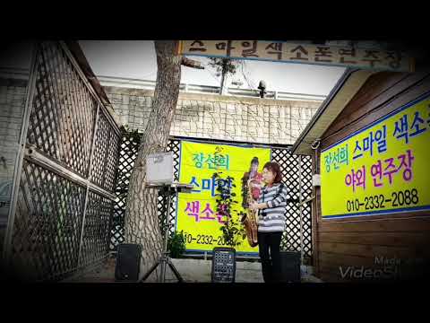 장선희(채원)색소폰~대전부르스(안정애)