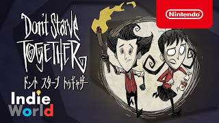 Don't Starve Together (ドント・スターブ・トゥギャザー) [Indie World 2022.5.11]