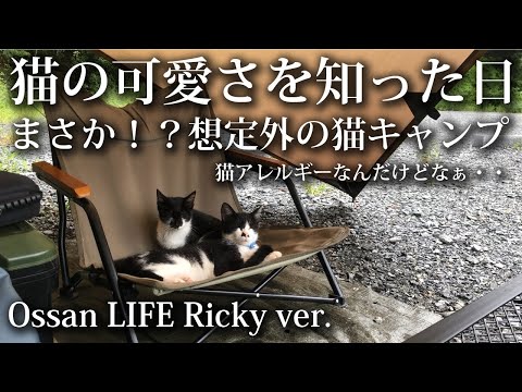 【ソロキャンプ 初心者】夜中に猫がテントの中に！突然始まる猫キャンプ！猫の可愛さを知った日 【猫動画・癒し・猫好き・かわいい・完ソロ・雨キャンプ・なぎの木・大野城ベース・福岡・キャンプ飯・ソロドーム】