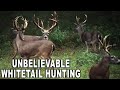 #1 TEXAS Whitetail Hunting Destination! | Texas Hidden Springs Ranch