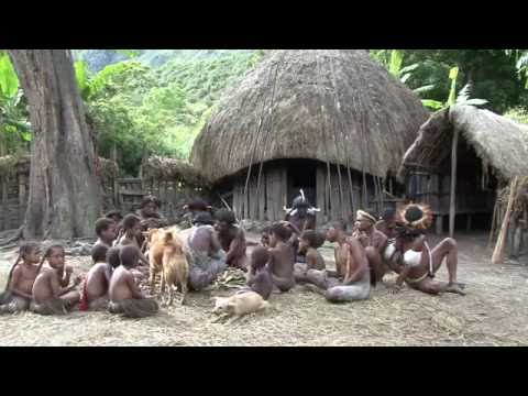 Video: Troliga Observationer Av Levande Dinosaurier I Indonesien Och Papua Nya Guinea - Alternativ Vy