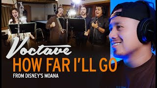 How Far Ill Go Voctave | REACTION | Disneys Moana