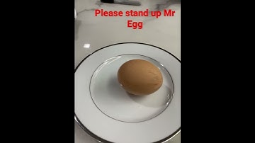 Mission impossible: make an egg stand