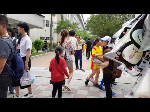 自強國小運動會