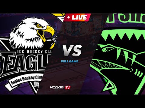 제13회 의정부시장기 체육대축전 아이스하키대회 G34 5,6 학년부 대전이글스 vs 타이거샥스 [LIVE] 2023.08.27