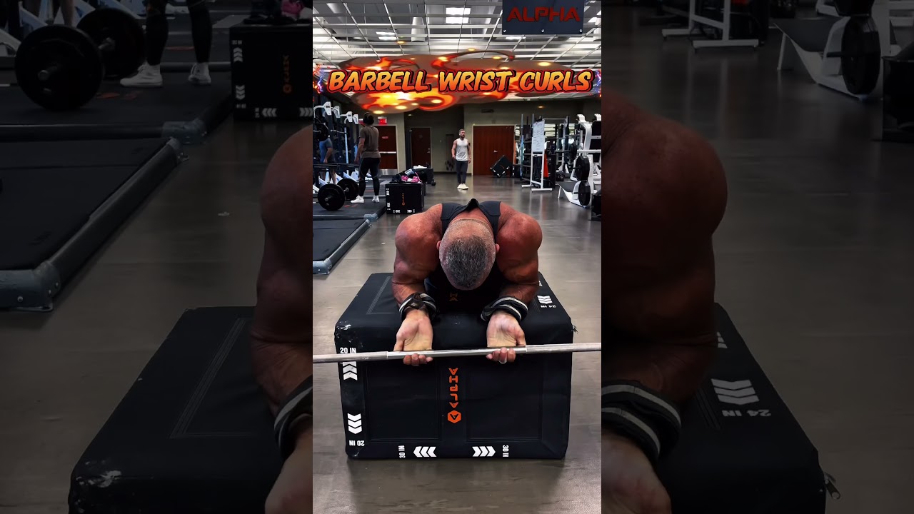 FOREARMS BARBELL WRIST CURLS #workout #muscle #motivation #exercise