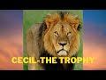 True Story of Cecil.The lion king