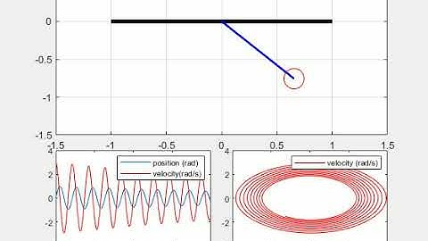 Simple Pendulum Damped